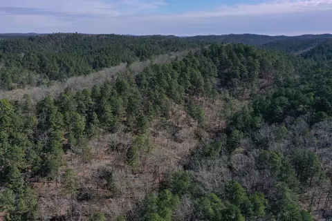 0000 Old Dallas Rd, Norman, AR 71960 photo 14