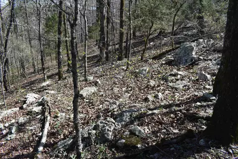 0000 Old Dallas Rd, Norman, AR 71960 photo 16