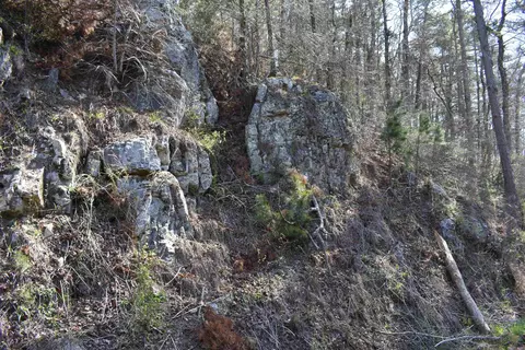 0000 Old Dallas Rd, Norman, AR 71960 photo 2
