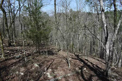 0000 Old Dallas Rd, Norman, AR 71960 photo 18