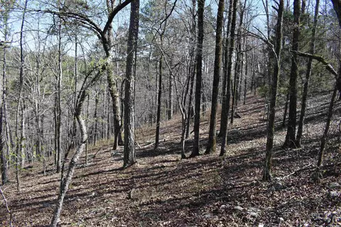 0000 Old Dallas Rd, Norman, AR 71960 photo 17
