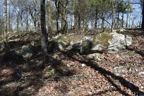 0000 Old Dallas Rd, Norman, AR 71960 photo 31