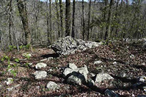 0000 Old Dallas Rd, Norman, AR 71960 photo 32