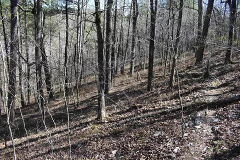 0000 Old Dallas Rd, Norman, AR 71960 photo 36