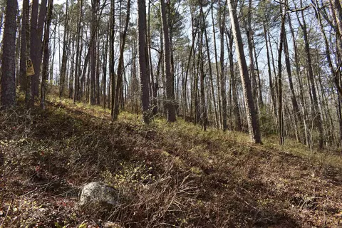 0000 Old Dallas Rd, Norman, AR 71960 photo 27