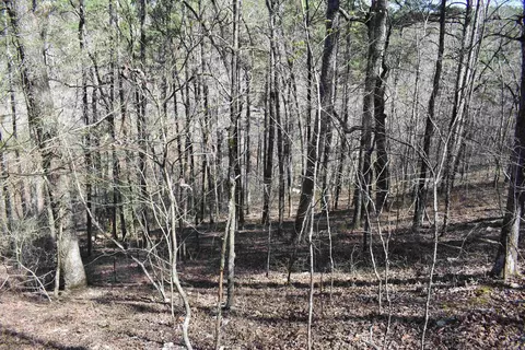 0000 Old Dallas Rd, Norman, AR 71960 photo 37