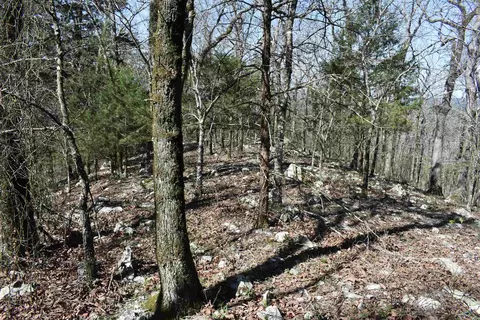 0000 Old Dallas Rd, Norman, AR 71960 photo 15