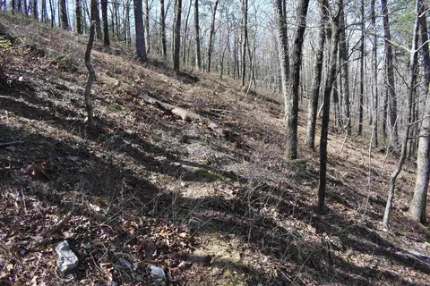 0000 Old Dallas Rd, Norman, AR 71960 photo 21