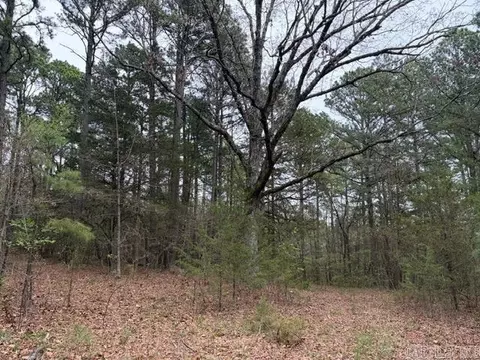 40 Acres Fs Rd 1436, Clarksville, AR 72830