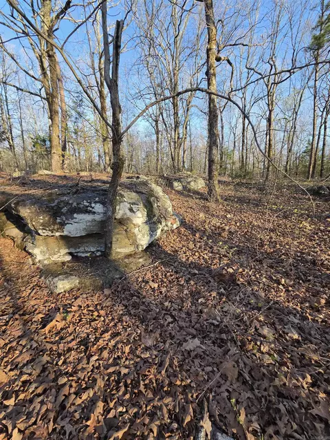 000 Thida Rd, Thida, AR 72020 photo 35