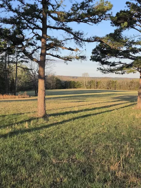 000 Thida Rd, Thida, AR 72020 photo 24