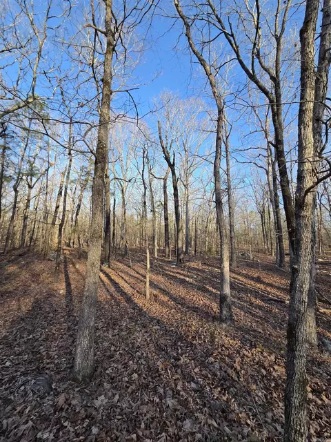 000 Thida Rd, Thida, AR 72020 photo 47