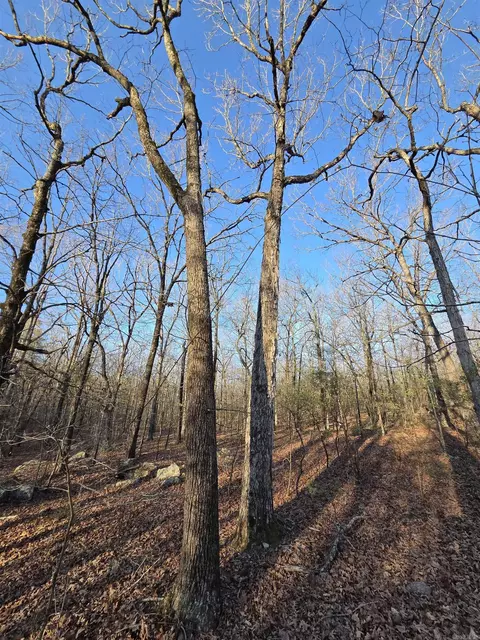 000 Thida Rd, Thida, AR 72020 photo 37