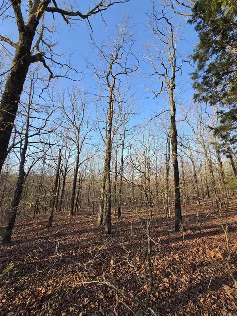 000 Thida Rd, Thida, AR 72020 photo 33