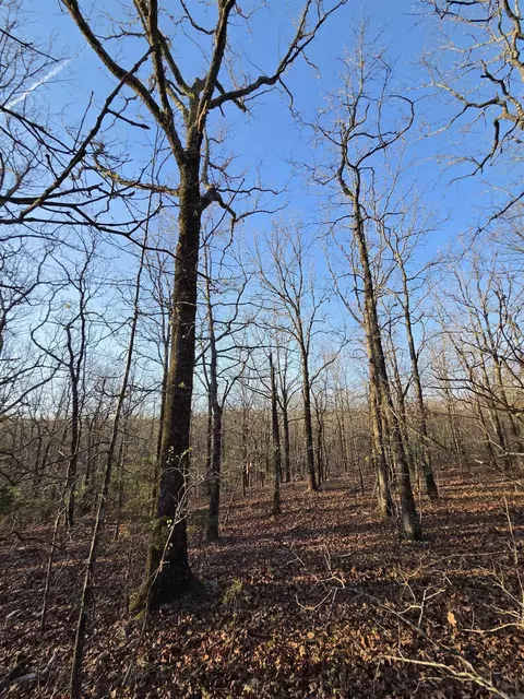 000 Thida Rd, Thida, AR 72020 photo 31