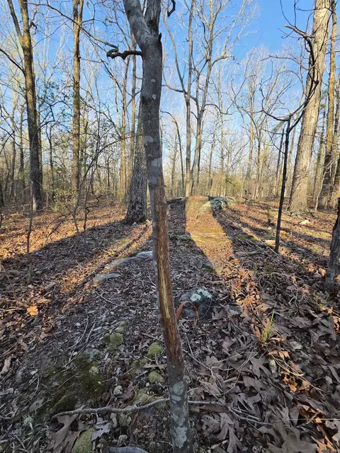 000 Thida Rd, Thida, AR 72020 photo 40