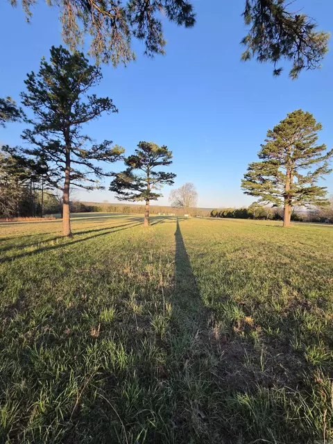 000 Thida Rd, Thida, AR 72020 photo 23