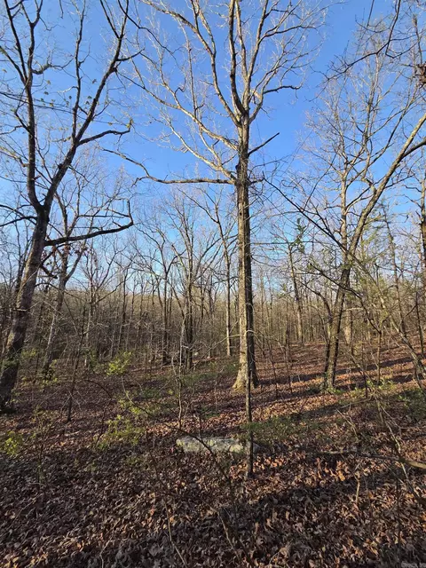 000 Thida Rd, Thida, AR 72020 photo 36