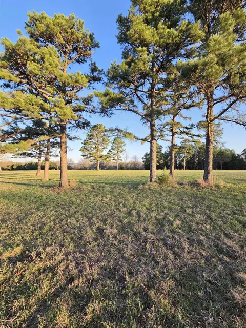 000 Thida Rd, Thida, AR 72020 photo 20
