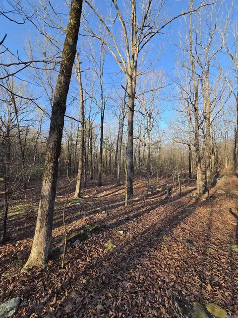 000 Thida Rd, Thida, AR 72020 photo 38