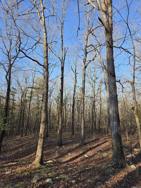 000 Thida Rd, Thida, AR 72020 photo 39