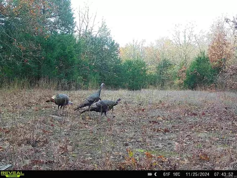 000 Thida Rd, Thida, AR 72020 photo 9