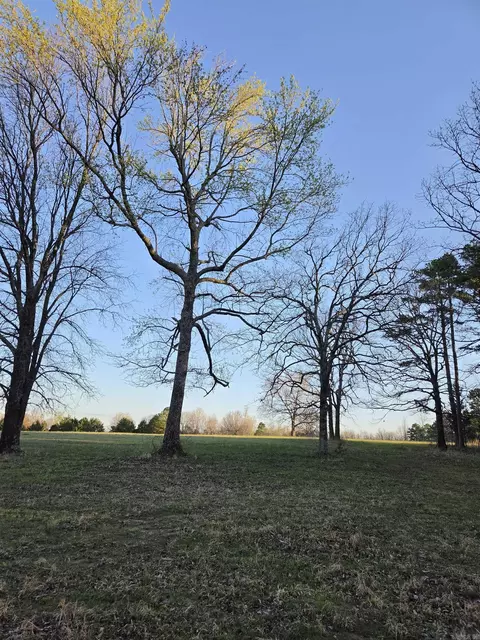 000 Thida Rd, Thida, AR 72020 photo 25
