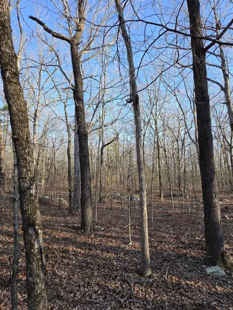 000 Thida Rd, Thida, AR 72020 photo 48