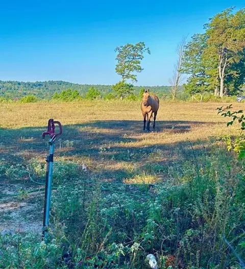0 Sutterfield Rd, Fox, AR 72051 photo 9