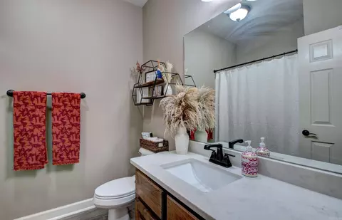 Bath - 6859 Grace Village Dr, Alexander, AR 72002 photo 4 of 4