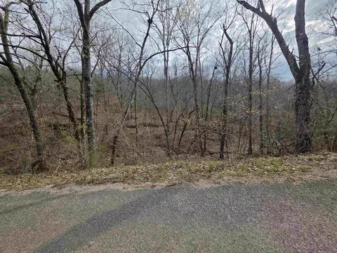 1 Woodland Hills Road # l, Hardy, AR 72542