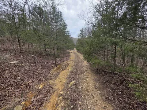 L-24 B-5 Tom Lee Road, Hardy, AR 72542