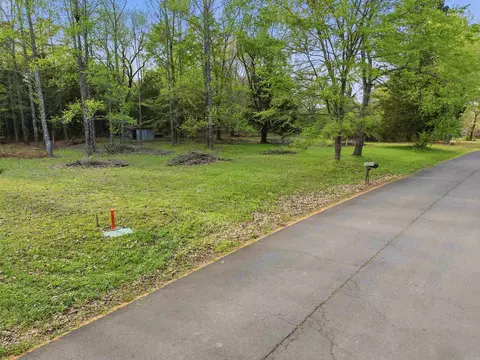 14 W Mobbs Cir, Greenbrier, AR 72058 photo 10