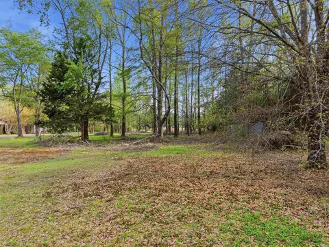 14 W Mobbs Cir, Greenbrier, AR 72058 photo 6