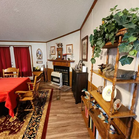 205 W Baxter, Brinkley, AR 72021 photo 4