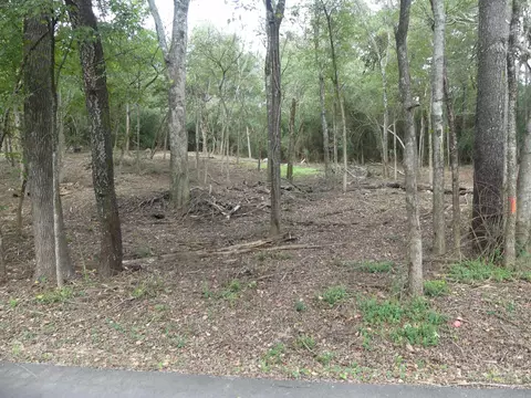 000 Cozy Acres Ave, Mountain Pine, AR 71956 photo 14