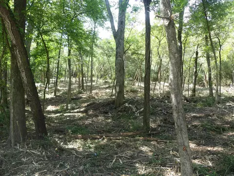 000 Cozy Acres Ave, Mountain Pine, AR 71956 photo 4