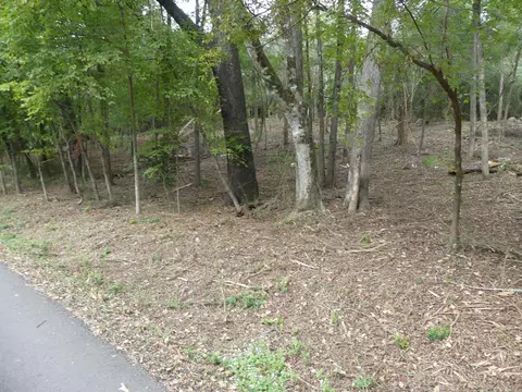 000 Cozy Acres Ave, Mountain Pine, AR 71956 photo 10