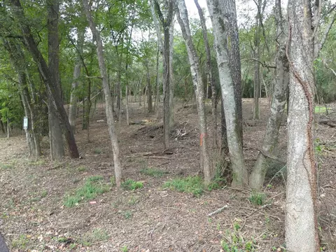 000 Cozy Acres Ave, Mountain Pine, AR 71956 photo 13