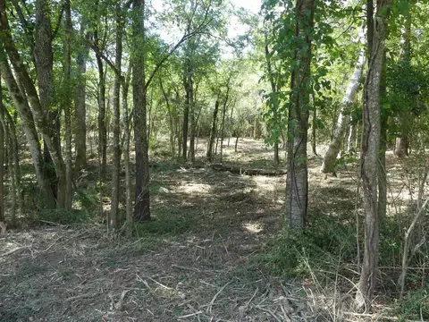 000 Cozy Acres Ave, Mountain Pine, AR 71956 photo 3