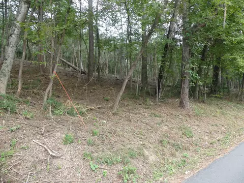 000 Cozy Acres Ave, Mountain Pine, AR 71956 photo 6