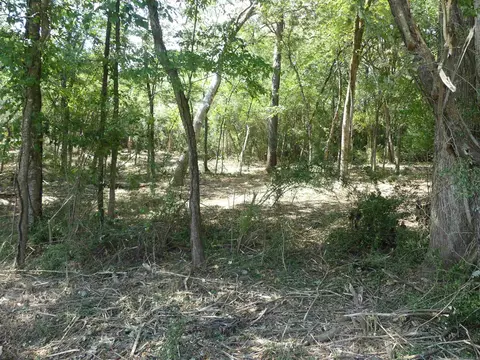 000 Cozy Acres Ave, Mountain Pine, AR 71956