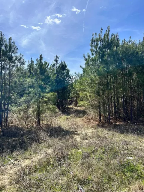 Dunkeffie, Rison, AR 71665 photo 14
