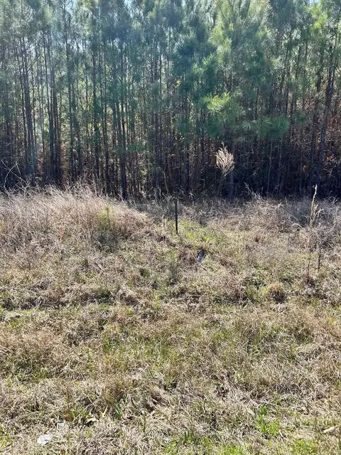 Dunkeffie, Rison, AR 71665 photo 13