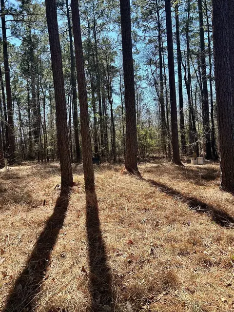 Dunkeffie, Rison, AR 71665 photo 4