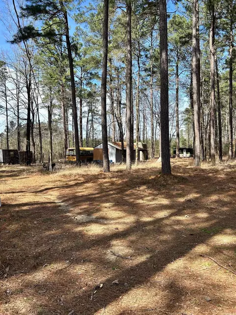 Dunkeffie, Rison, AR 71665 photo 18