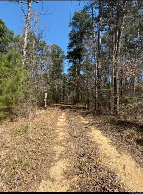 Dunkeffie, Rison, AR 71665 photo 2