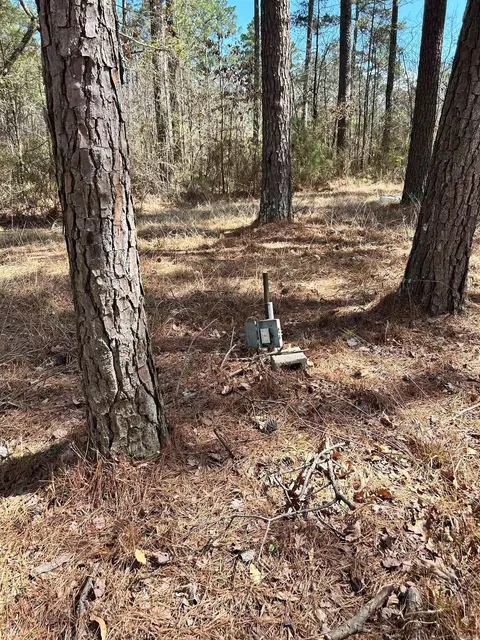 Dunkeffie, Rison, AR 71665 photo 32
