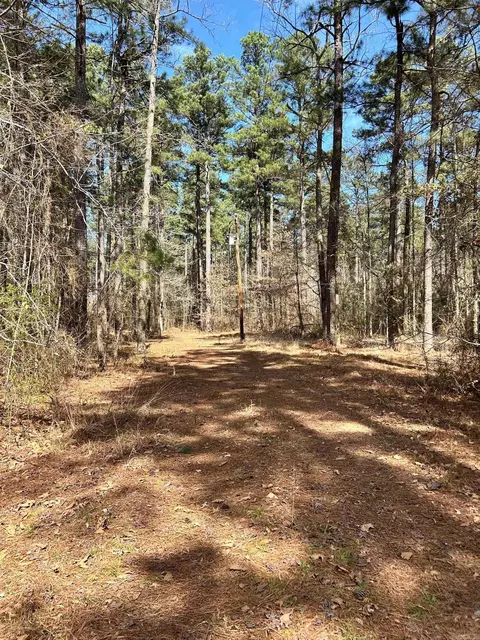 Dunkeffie, Rison, AR 71665 photo 17