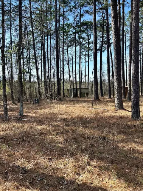 Dunkeffie, Rison, AR 71665 photo 19